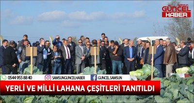 YERLİ VE MİLLİ LAHANA ÇEŞİTLERİ TANITILDI