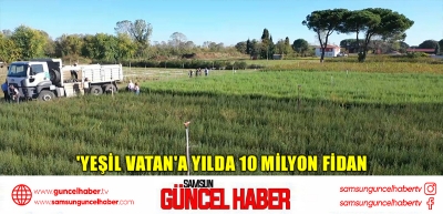 'Yeşil Vatan'a yılda 10 milyon fidan