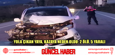 Yola çıkan yaya, kazaya neden oldu: 2 ölü, 5 yaralı