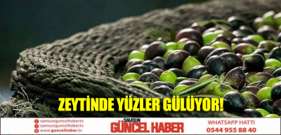 ZEYTİNDE YÜZLER GÜLÜYOR!